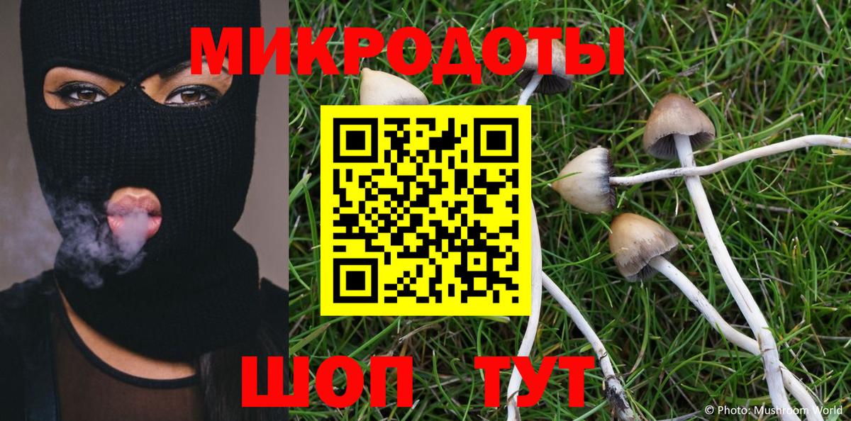 Владимир  Галлюциногенные грибы мицелий  Вход с VPN  Галлюциногенные грибы мухоморы 